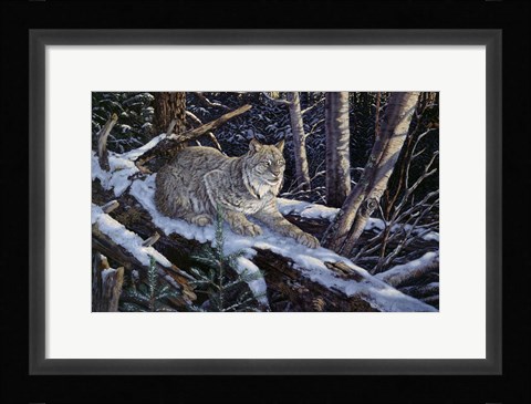Framed Snow Moon Lynx Print