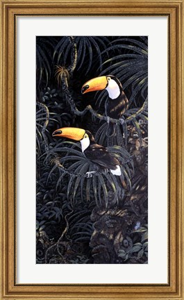 Framed Toucans Print
