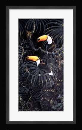 Framed Toucans Print