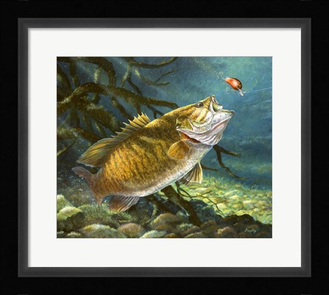 Framed Deep Water Prowler Print