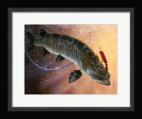 Framed Net Muskie Print