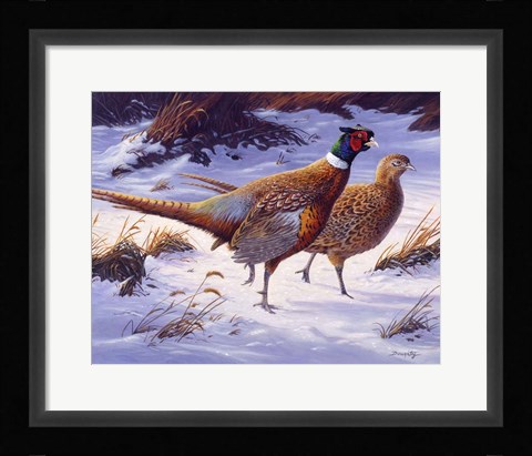 Framed Along The Edge Print