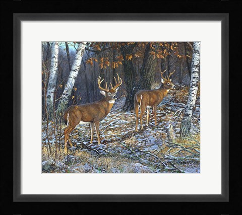 Framed Buck And A Half Print