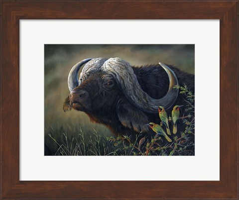 Framed Caped Buffalo Print