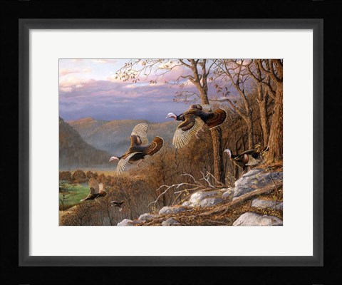 Framed Enchanted Valley Print