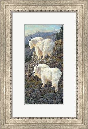 Framed Goat Country Print