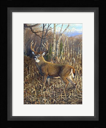 Framed Heading For Cover 2 Print