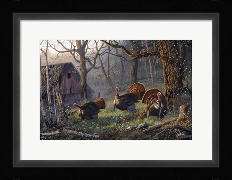 Framed Kings Of The Hill Print