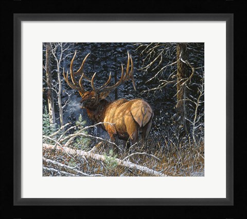 Framed Legacy Bull Print
