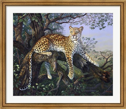Framed Leopard&#39;s Domain Print