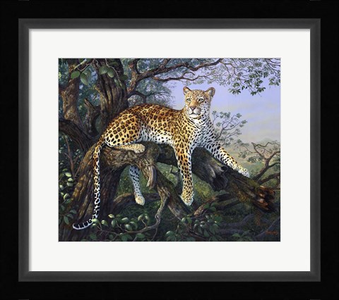 Framed Leopard's Domain Print