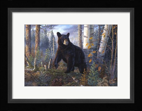 Framed Lord Of The Timberline Print