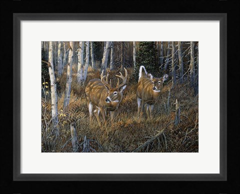 Framed November Instinct Print