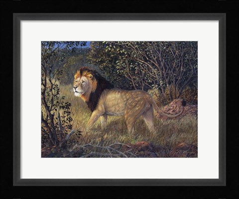 Framed Old Warrior Print