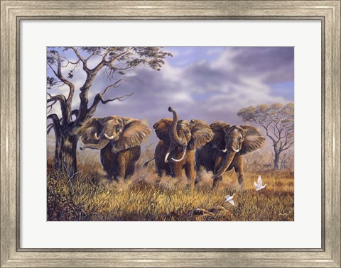 Framed On African Winds Print