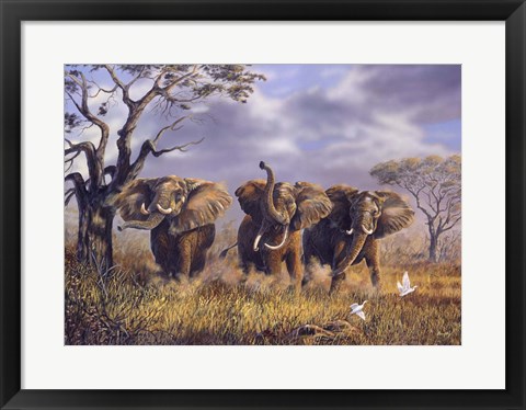 Framed On African Winds Print