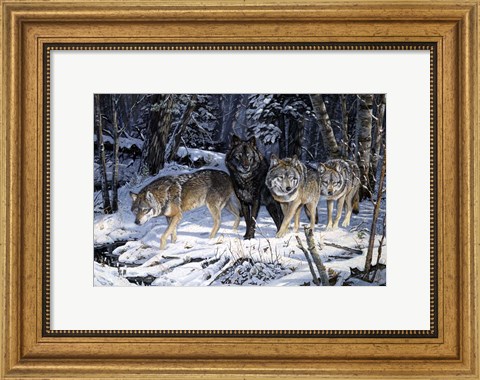 Framed On The Night Trail Print