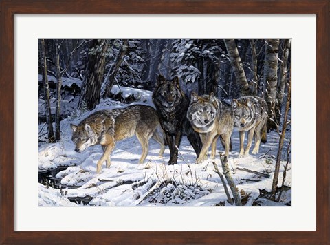 Framed On The Night Trail Print