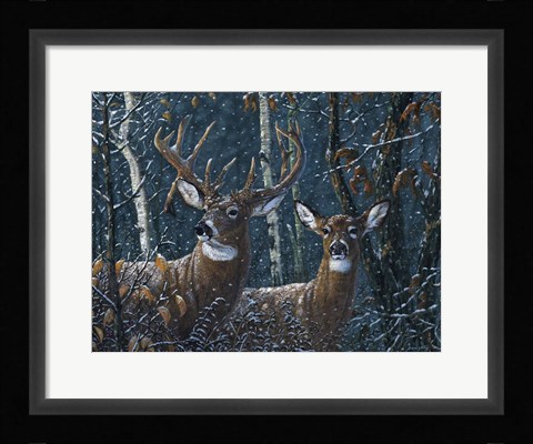 Framed Snowflake Print