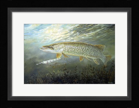 Framed Stalking The Tiger Print