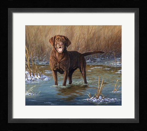 Framed Top Dog Print