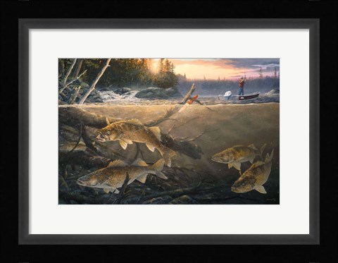 Framed Walleye In The Wood Print