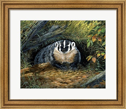 Framed Wisconsin Badger Print