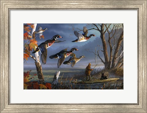 Framed Woodies On The Wing Print
