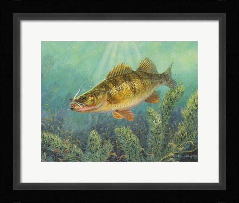 Framed Perch Print