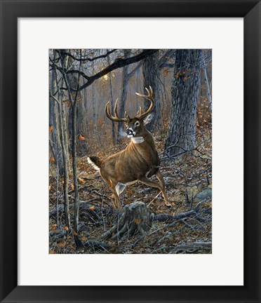 Framed Buck Fever Print