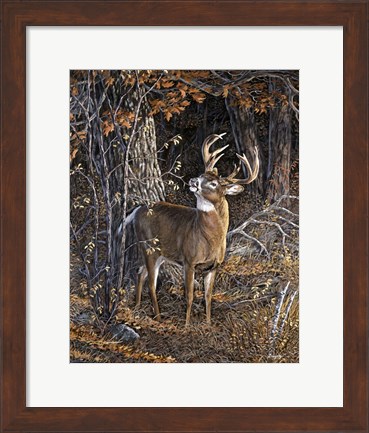 Framed Deer Nibble Print