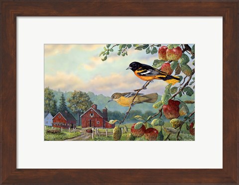 Framed Old Orchard Hideaway Print