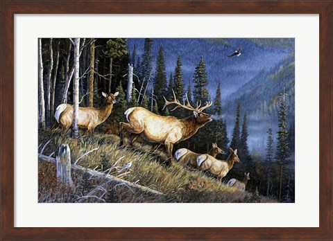 Framed Eagle Mountain Print