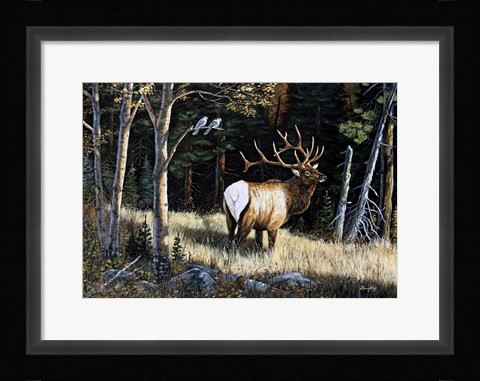 Framed Elk Print