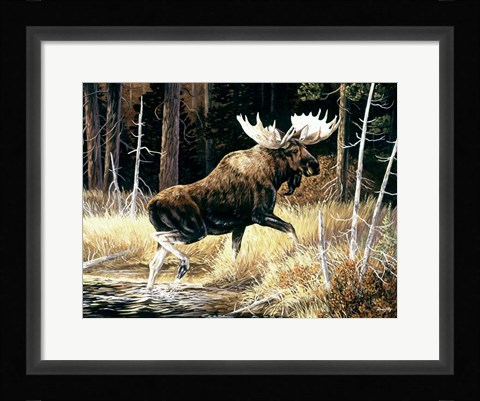 Framed Moose Print