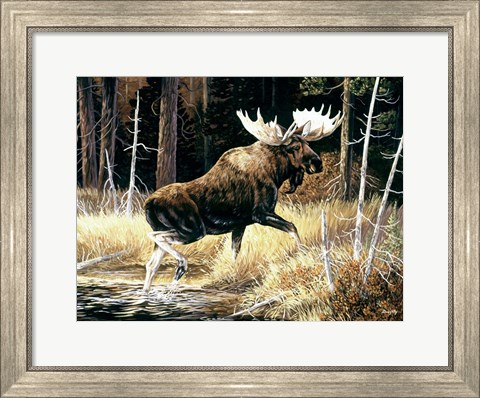 Framed Moose Print