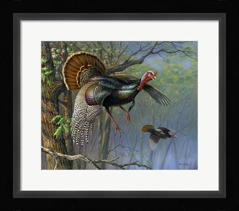 Framed Down From The Roost Print