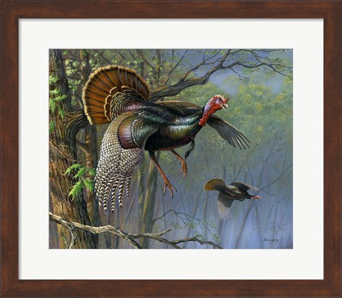 Framed Down From The Roost Print