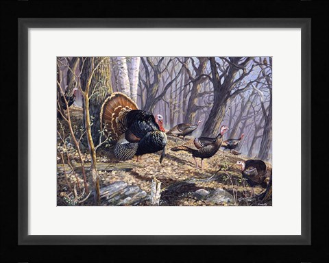 Framed Over The Top Print