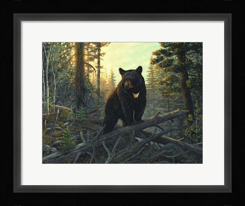 Framed Black Magic Print