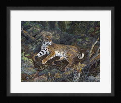 Framed Eyes Of The Deep Woods Print