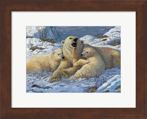 Framed Snow Bears Print
