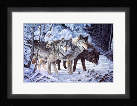 Framed Out Of The Shadows Print