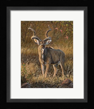 Framed Gray Ghost Print