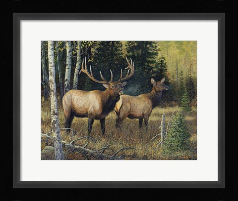 Framed Singing Wilderness Print