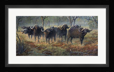 Framed Cape Buffalo Print
