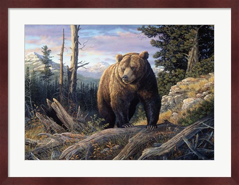 Framed Mountain Winds Grizzly Print
