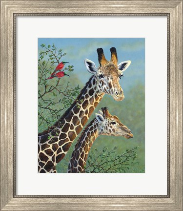 Framed Tree Toppers Print