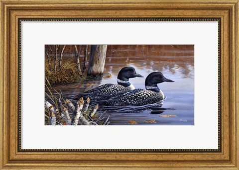 Framed Beaver Pond Loons Print