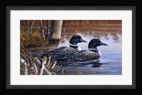 Framed Beaver Pond Loons Print